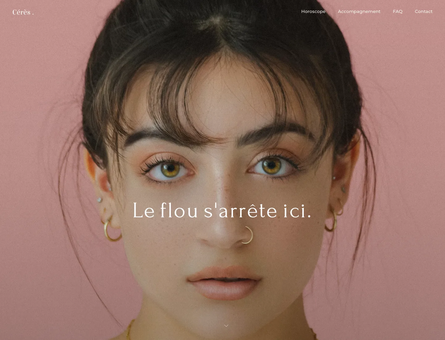 Site sur-mesure ceresfrance.com créé par Entrepreneur Aligné